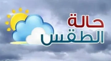 تحذير لمرتادي الطرق.. الأرصاد تعلن تفاصيل موجة الشبورة الكثيفة يوم الأحد 2026